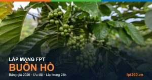Lắp mạng FPT Buôn Hồ Đắk Lắk
