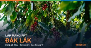 Lắp mạng FPT Đắk Lắk - bảng giá và vùng phủ sóng 2026