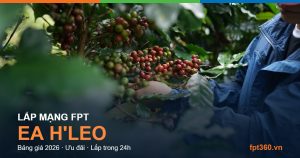 Lắp mạng FPT Ea H'leo Đắk Lắk