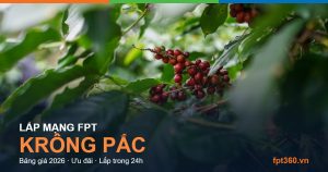 Lắp mạng FPT Krông Pắc Đắk Lắk