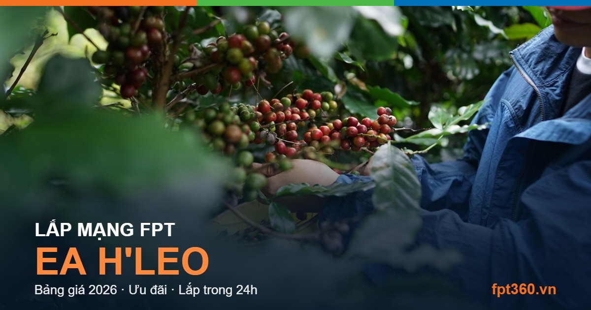 Lắp mạng FPT Ea H'leo - bảng giá và vùng phủ sóng 2026