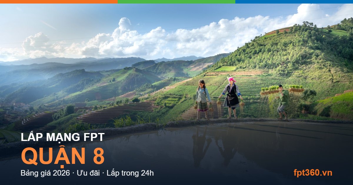 Lắp mạng FPT Quận 8 - bảng giá và vùng phủ sóng 2026